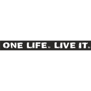 one life live it wit - small